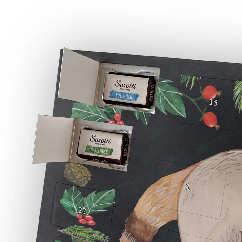 Chocolate advent calendar Coati gift ideas, gifts, small animals, good mood, cute, funny sayings, cute animal motives, hand drawn, special gifts, card, animal lover, Nose bear, trunk bear