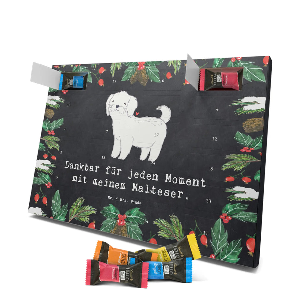  Maltańczyk Chwila szczeniak, miłośnik zwierząt, właściciel psa, pies rasowy, rasa psa, Pies, prezent, dawanie