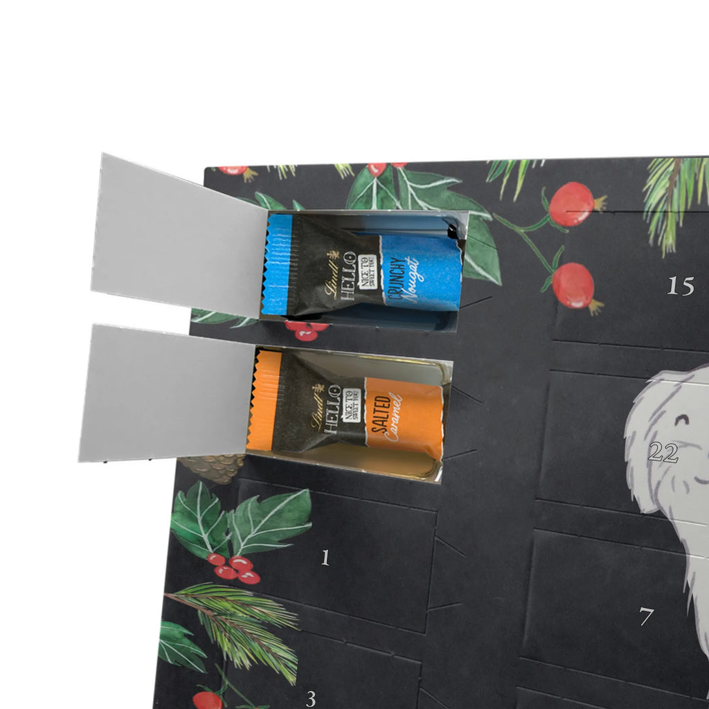  Maltańczyk Chwila szczeniak, miłośnik zwierząt, właściciel psa, pies rasowy, rasa psa, Pies, prezent, dawanie