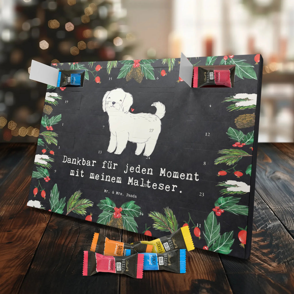  Maltańczyk Chwila szczeniak, miłośnik zwierząt, właściciel psa, pies rasowy, rasa psa, Pies, prezent, dawanie