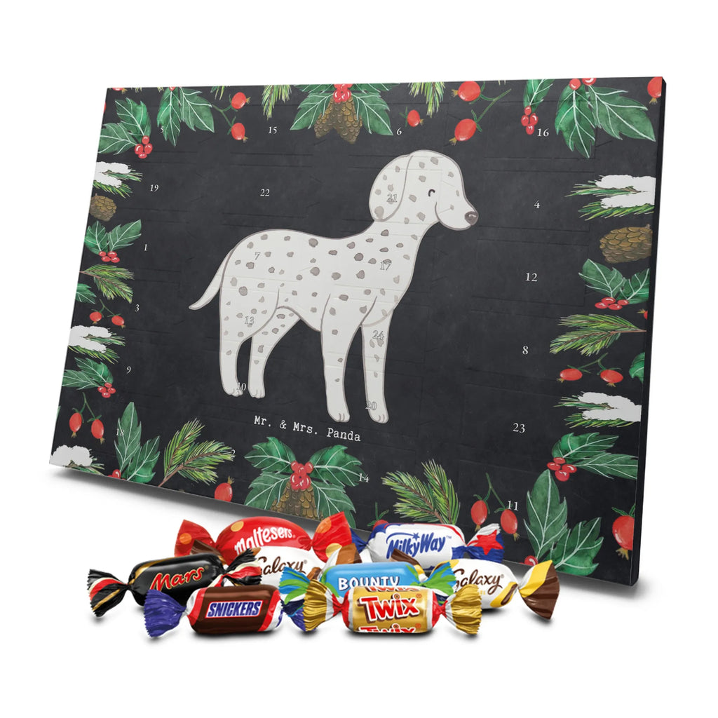 Chocolate advent calendar Dalmatian moment puppy, dog owner, purebred dog, dog breed, giving, animal lover, gift