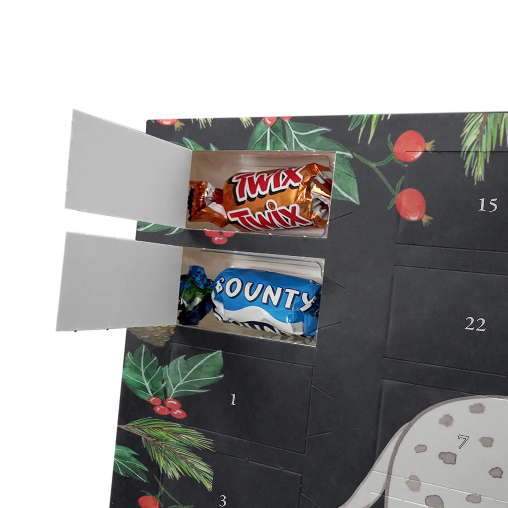 Chocolate advent calendar Dalmatian moment puppy, dog owner, purebred dog, dog breed, giving, animal lover, gift