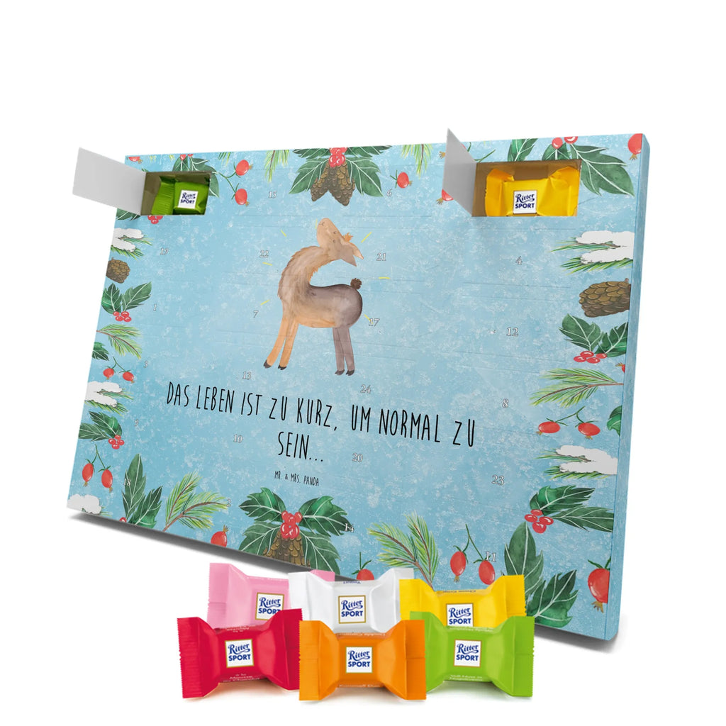 Chocolate advent calendar lama Proud Llama, alpaca, trendy animal, Girlfriend, Different, Best friend, Proud, Llamas, Outsider, Girlfriends, New start