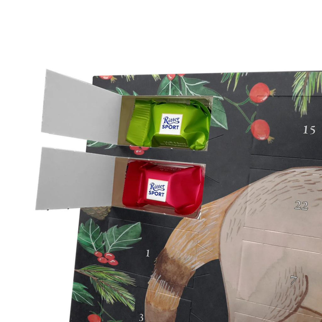 Chocolate advent calendar Coati gift ideas, gifts, small animals, good mood, cute, funny sayings, cute animal motives, hand drawn, special gifts, card, animal lover, Nose bear, trunk bear