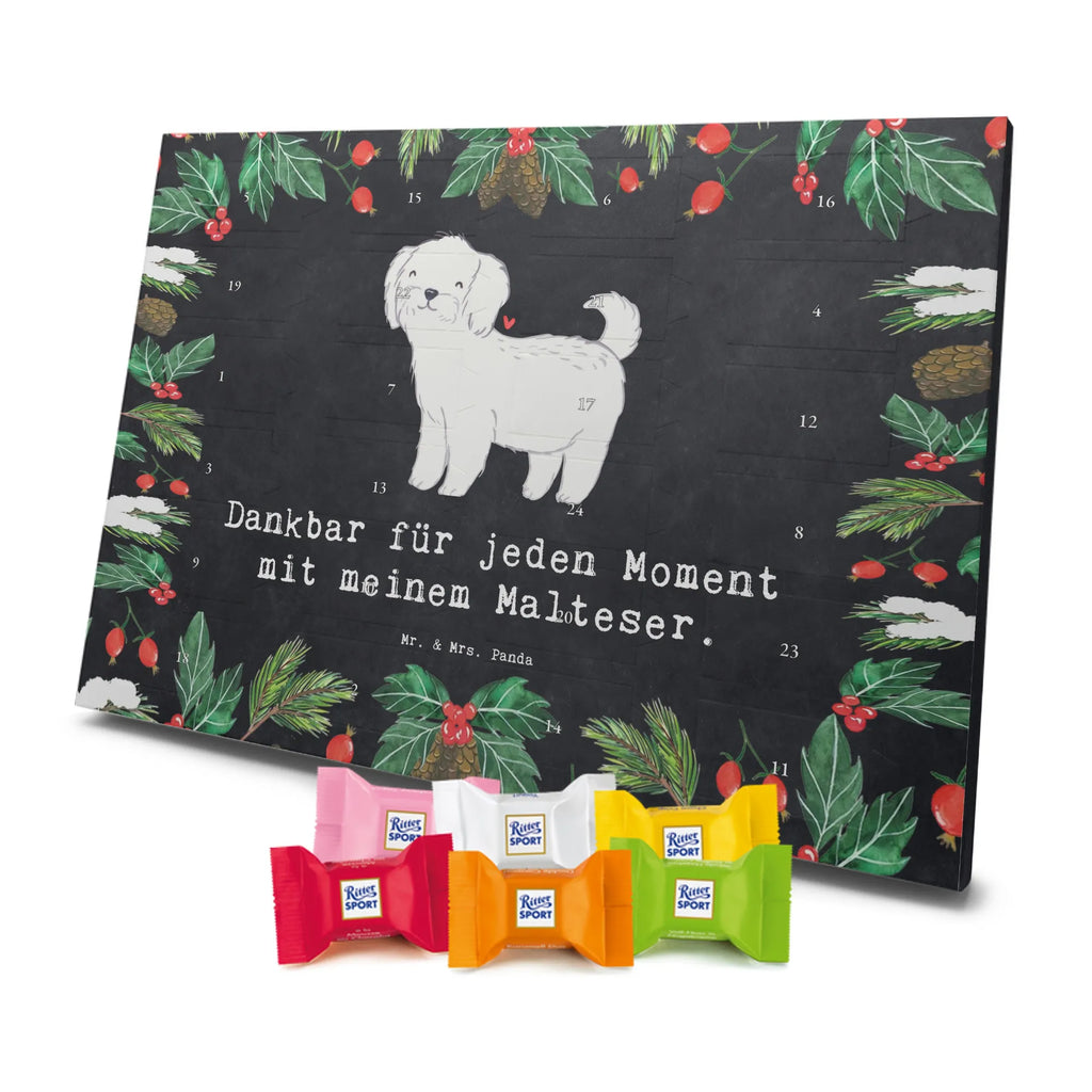  Maltańczyk Chwila szczeniak, miłośnik zwierząt, właściciel psa, pies rasowy, rasa psa, Pies, prezent, dawanie