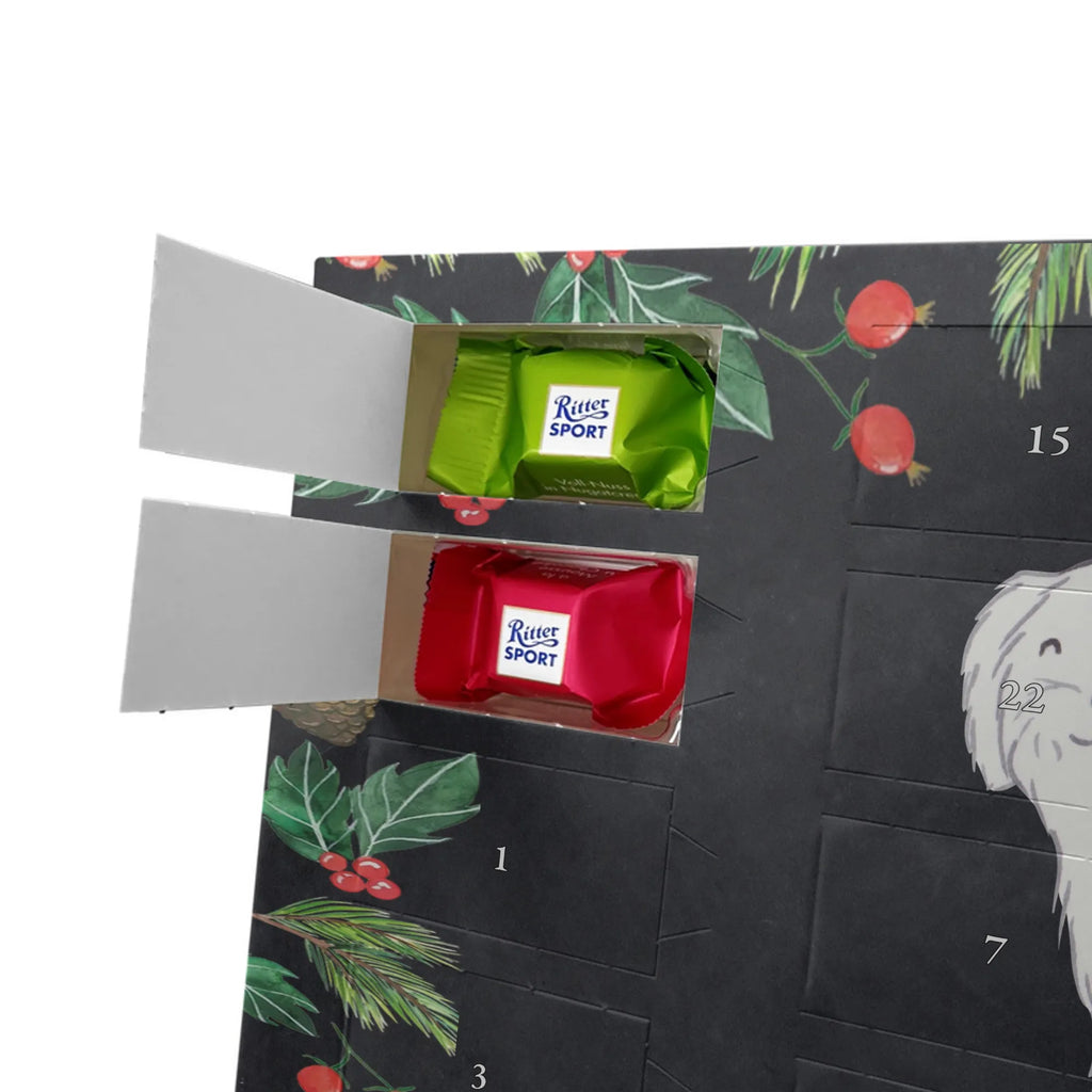  Maltańczyk Chwila szczeniak, miłośnik zwierząt, właściciel psa, pies rasowy, rasa psa, Pies, prezent, dawanie