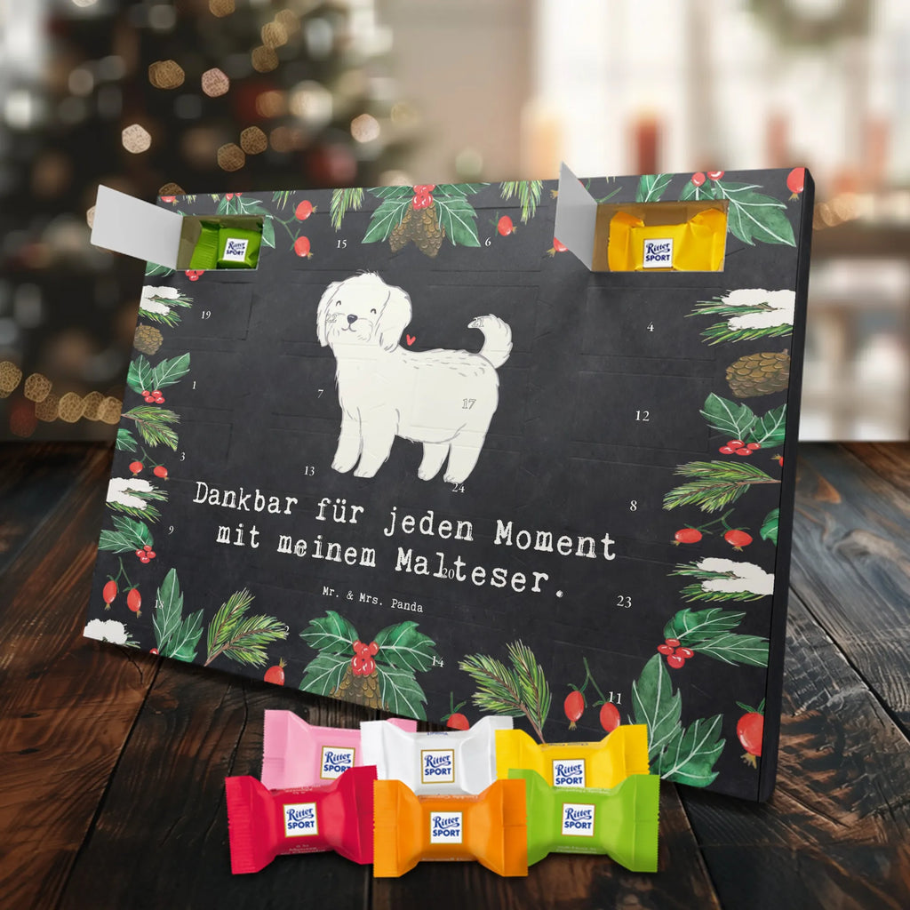  Maltańczyk Chwila szczeniak, miłośnik zwierząt, właściciel psa, pies rasowy, rasa psa, Pies, prezent, dawanie