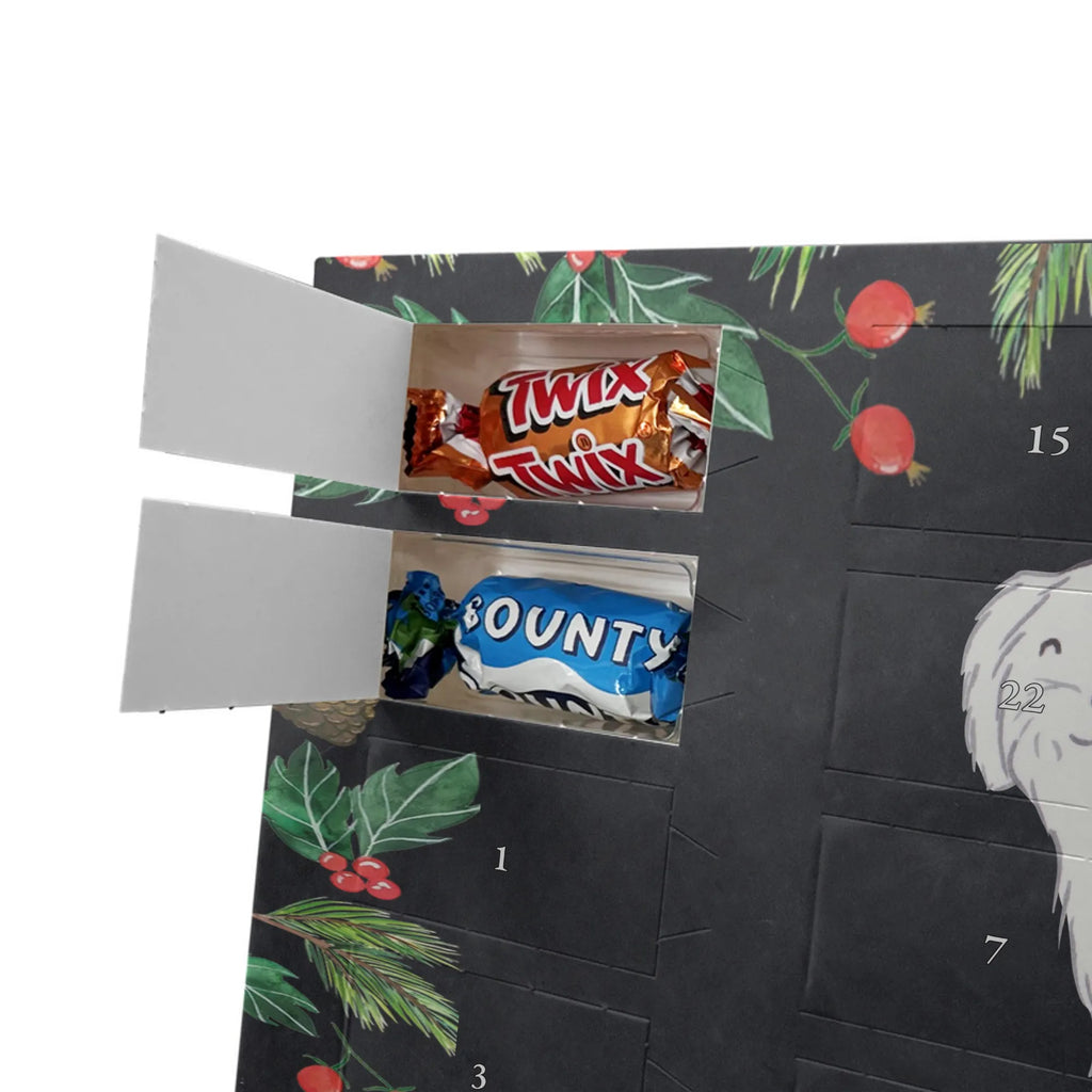  Maltańczyk Chwila szczeniak, miłośnik zwierząt, właściciel psa, pies rasowy, rasa psa, Pies, prezent, dawanie