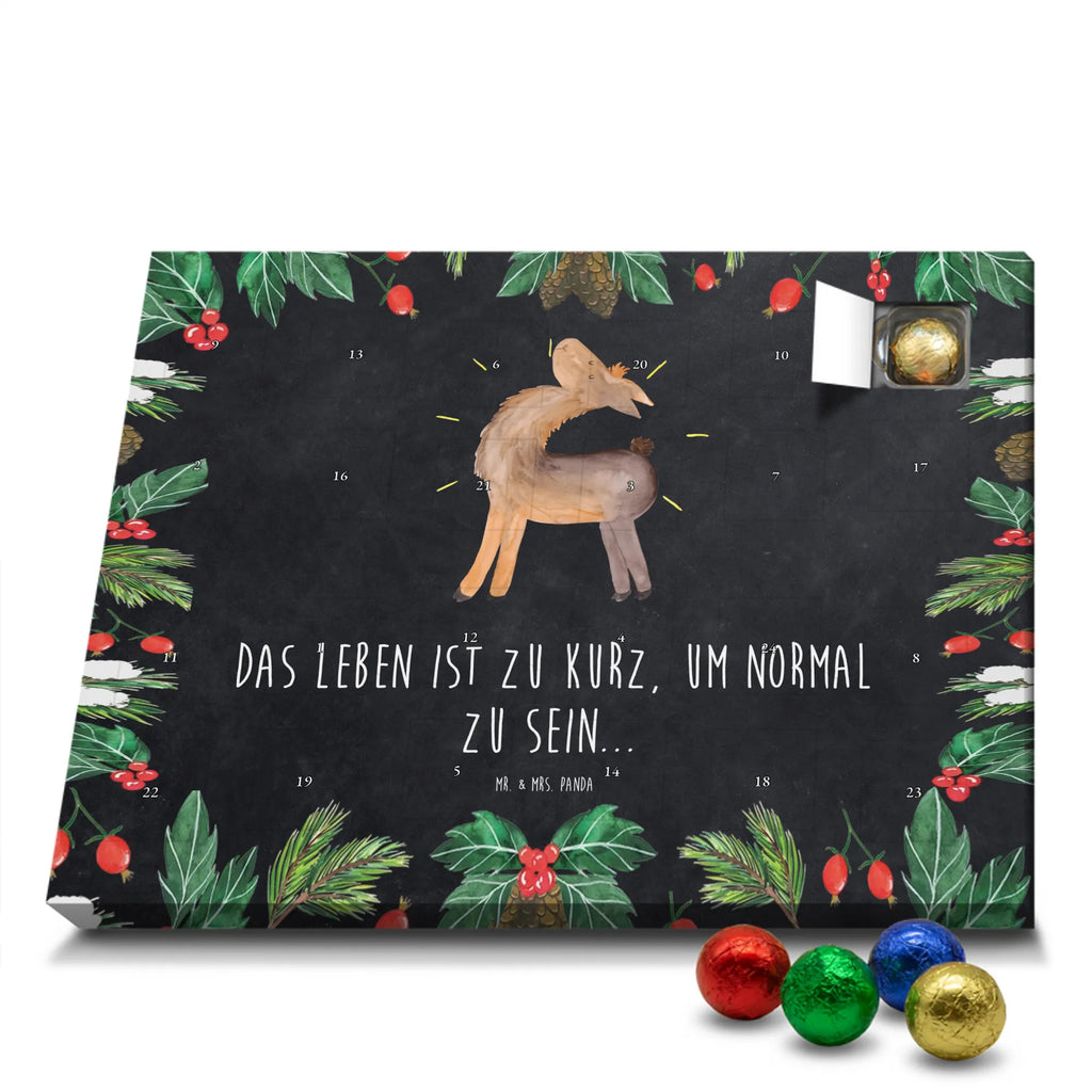Chocolate advent calendar lama Proud Llama, alpaca, trendy animal, Girlfriend, Different, Best friend, Proud, Llamas, Outsider, Girlfriends, New start