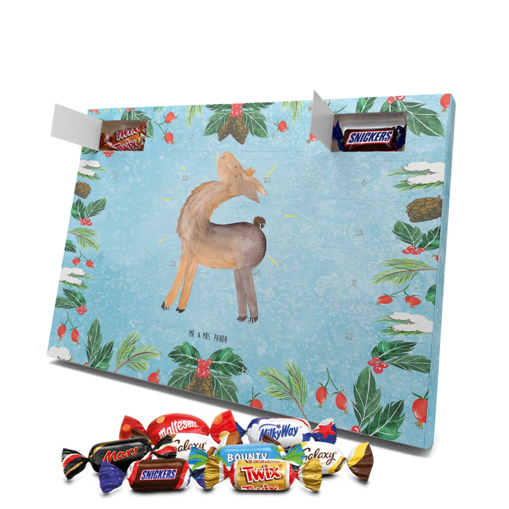 Chocolate advent calendar lama Proud Llama, alpaca, trendy animal, Girlfriend, Different, Best friend, Proud, Llamas, Outsider, Girlfriends, New start