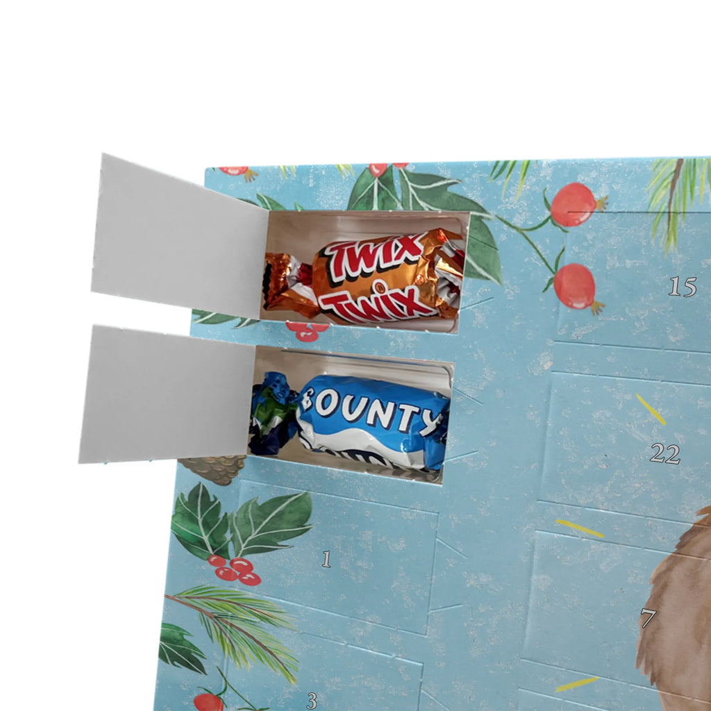 Chocolate advent calendar lama Proud Llama, alpaca, trendy animal, Girlfriend, Different, Best friend, Proud, Llamas, Outsider, Girlfriends, New start