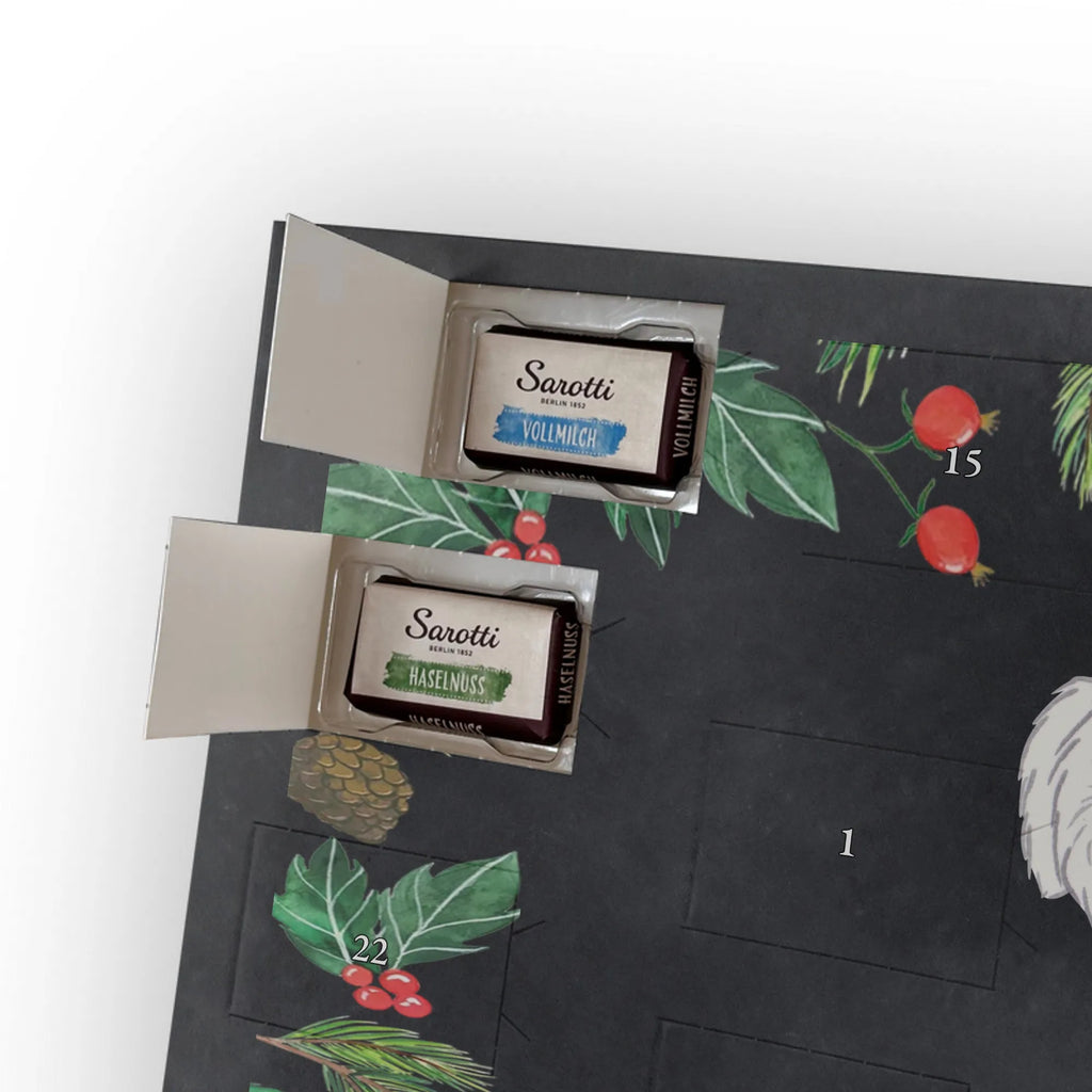  Maltańczyk Chwila szczeniak, miłośnik zwierząt, właściciel psa, pies rasowy, rasa psa, Pies, prezent, dawanie