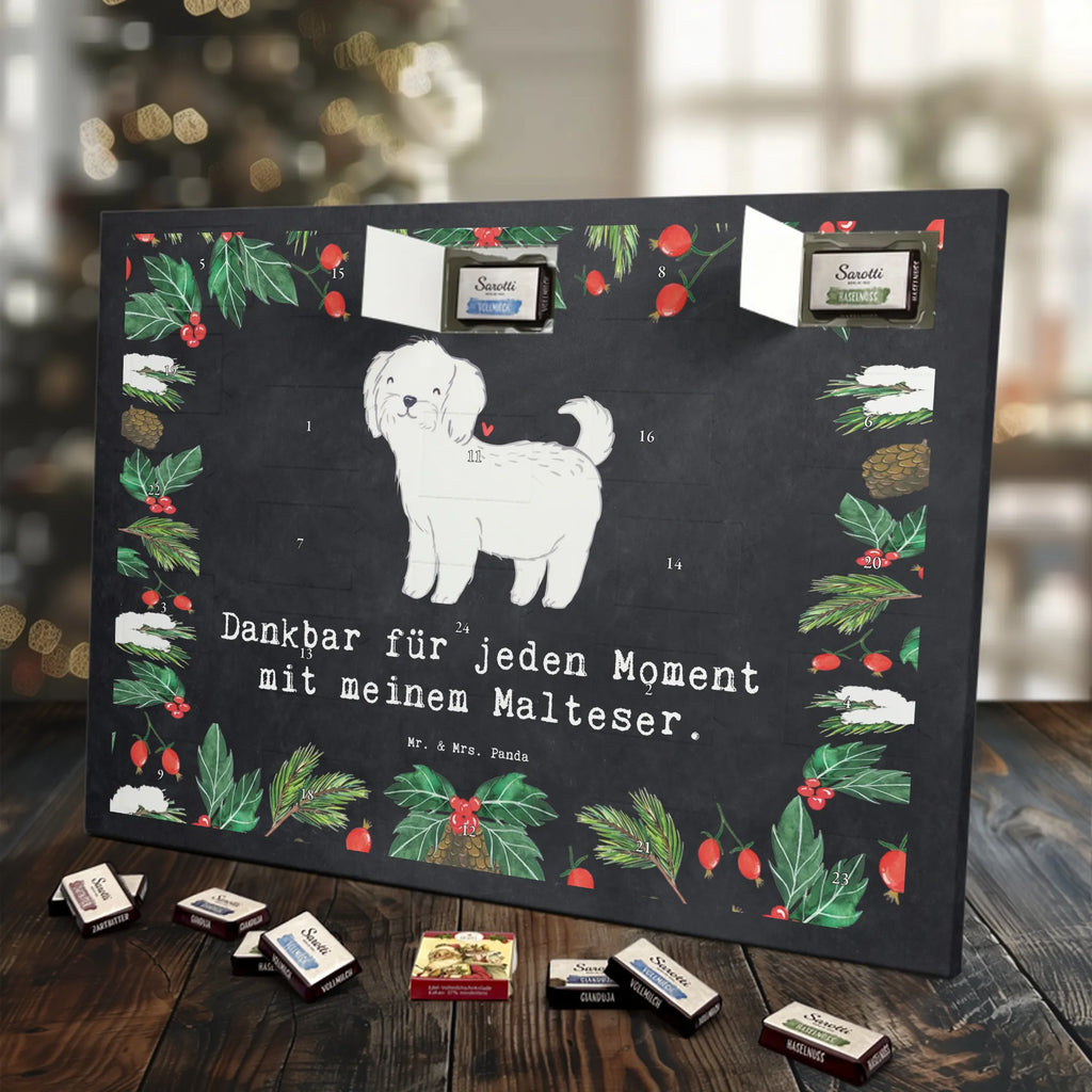  Maltańczyk Chwila szczeniak, miłośnik zwierząt, właściciel psa, pies rasowy, rasa psa, Pies, prezent, dawanie