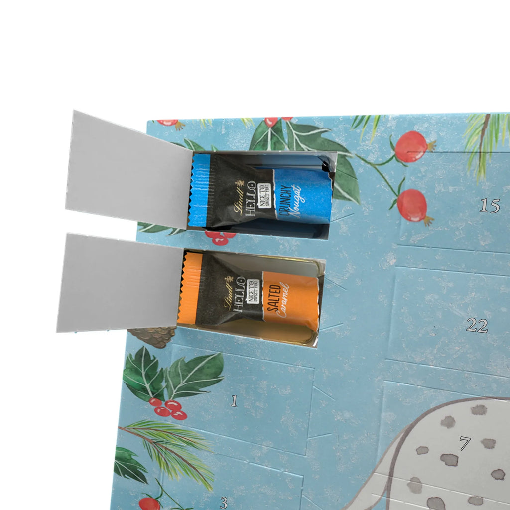 Chocolate advent calendar Dalmatian moment puppy, dog owner, purebred dog, dog breed, giving, animal lover, gift