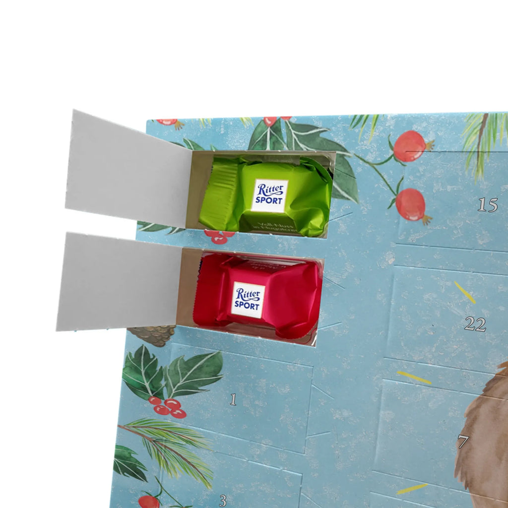 Chocolate advent calendar lama Proud Llama, alpaca, trendy animal, Girlfriend, Different, Best friend, Proud, Llamas, Outsider, Girlfriends, New start