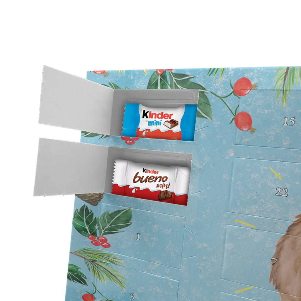 Chocolate advent calendar lama Proud Llama, alpaca, trendy animal, Girlfriend, Different, Best friend, Proud, Llamas, Outsider, Girlfriends, New start