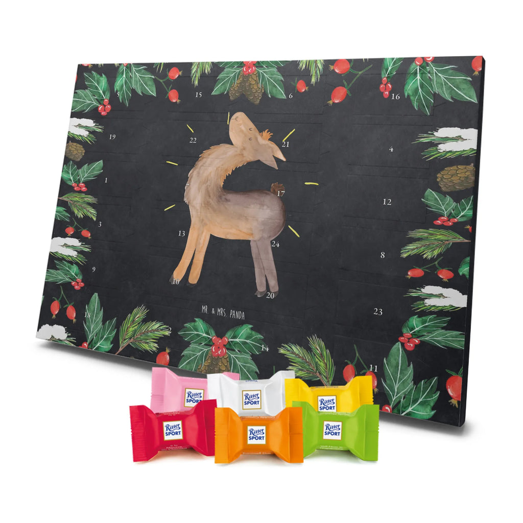 Chocolate advent calendar lama Proud Llama, alpaca, trendy animal, Girlfriend, Different, Best friend, Proud, Llamas, Outsider, Girlfriends, New start