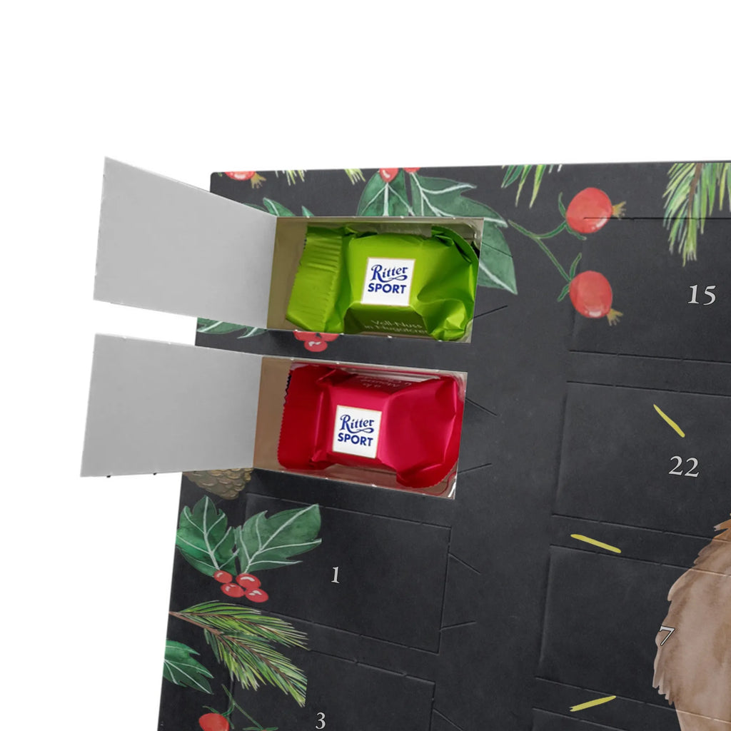 Chocolate advent calendar lama Proud Llama, alpaca, trendy animal, Girlfriend, Different, Best friend, Proud, Llamas, Outsider, Girlfriends, New start