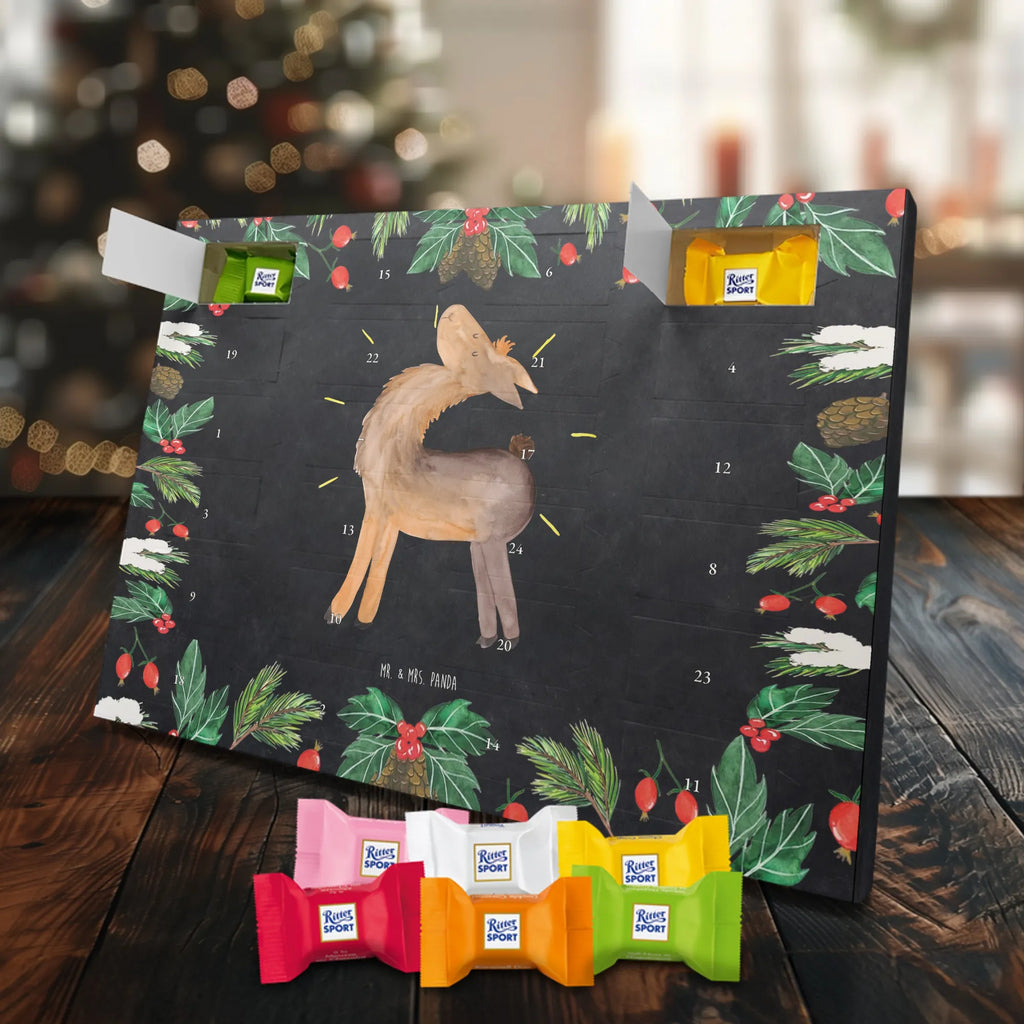 Chocolate advent calendar lama Proud Llama, alpaca, trendy animal, Girlfriend, Different, Best friend, Proud, Llamas, Outsider, Girlfriends, New start