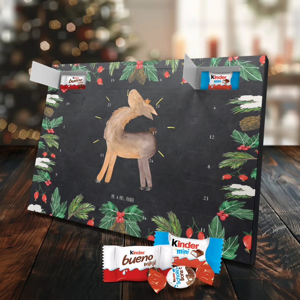 Chocolate advent calendar lama Proud Llama, alpaca, trendy animal, Girlfriend, Different, Best friend, Proud, Llamas, Outsider, Girlfriends, New start