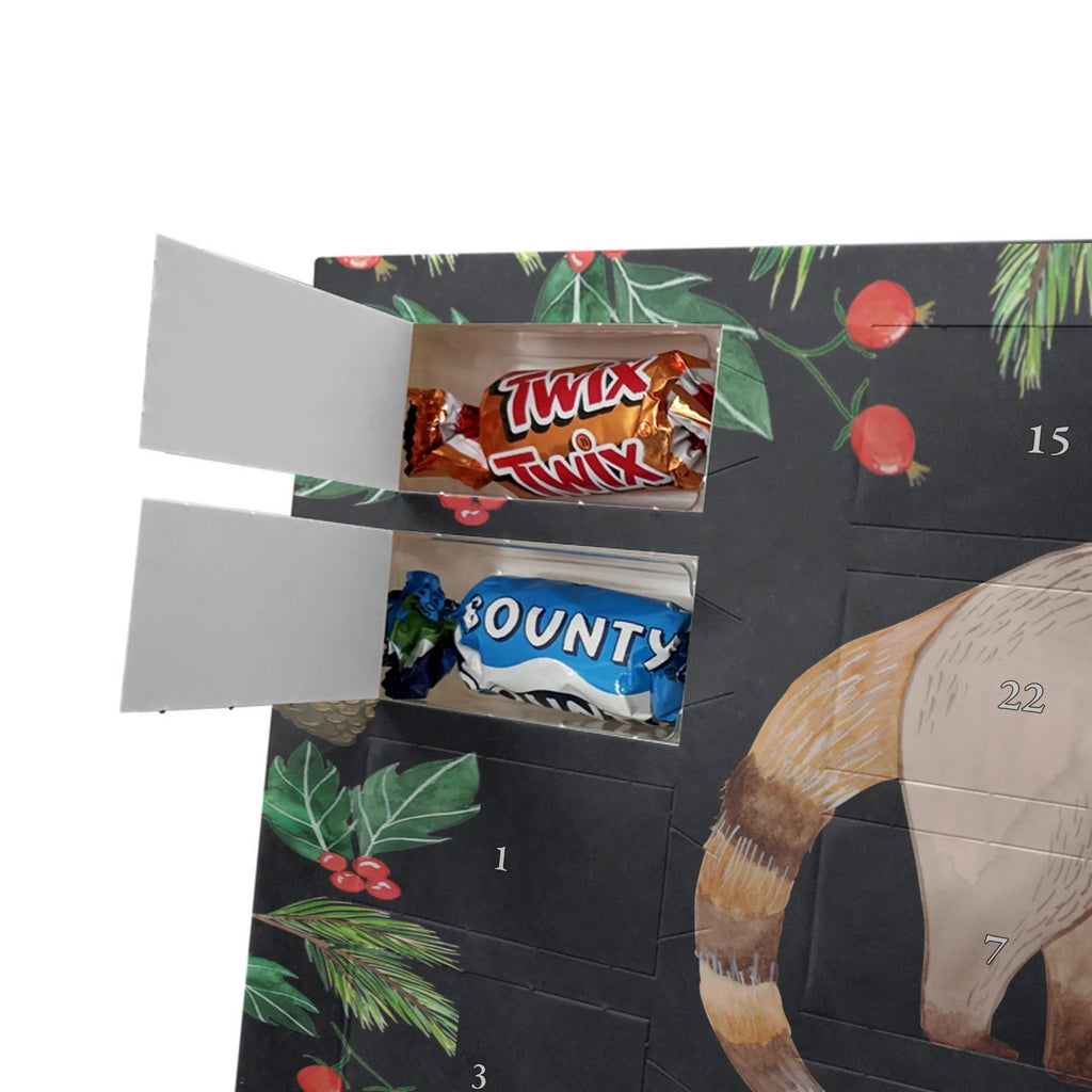 Chocolate advent calendar Coati gift ideas, gifts, small animals, good mood, cute, funny sayings, cute animal motives, hand drawn, special gifts, card, animal lover, Nose bear, trunk bear