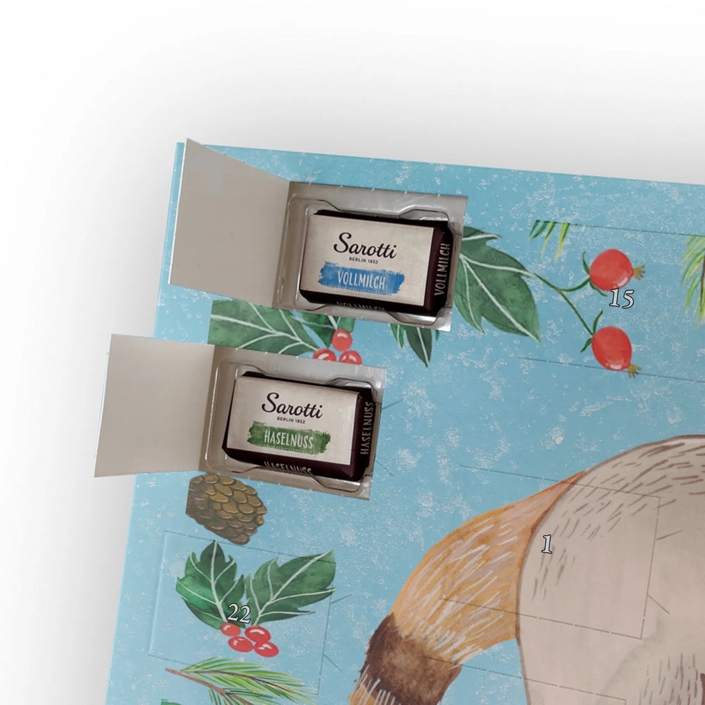 Chocolate advent calendar Coati gift ideas, gifts, small animals, good mood, cute, funny sayings, cute animal motives, hand drawn, special gifts, card, animal lover, Nose bear, trunk bear