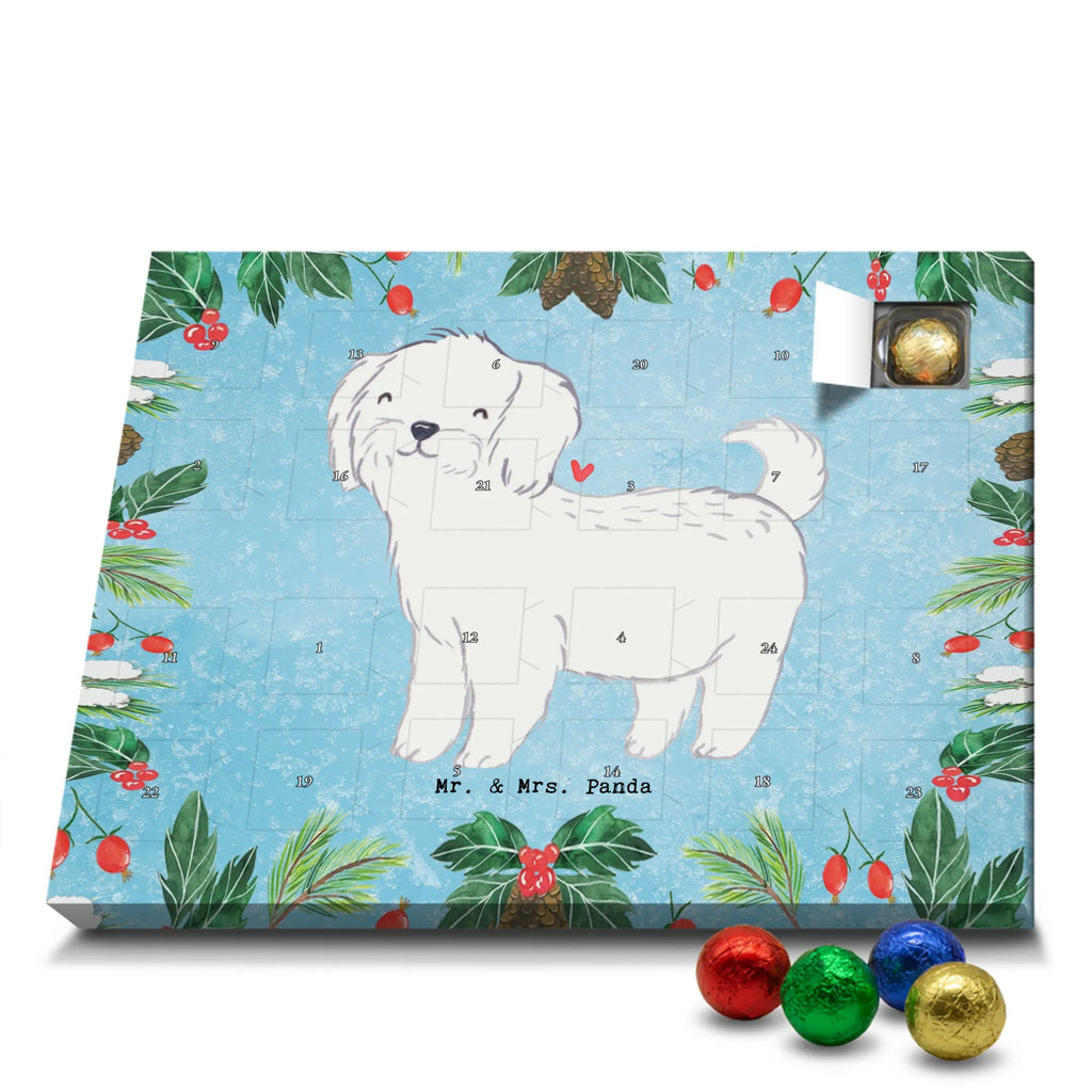  Maltańczyk Chwila szczeniak, miłośnik zwierząt, właściciel psa, pies rasowy, rasa psa, Pies, prezent, dawanie