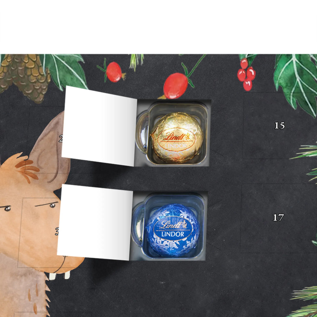 Chocolate advent calendar llama head Annoyed Llama, alpaca, trendy animal, best friend, being right, being annoyed, office life, apprentice, girlfriend