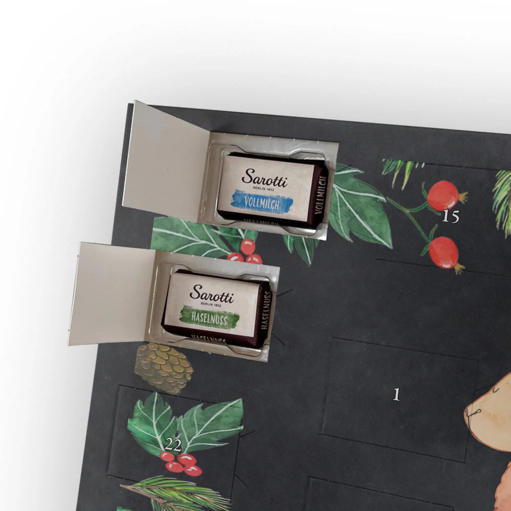 Chocolate advent calendar alpaca Proud pako, camel, llama, animal, alpaca, favourite animal, Peru