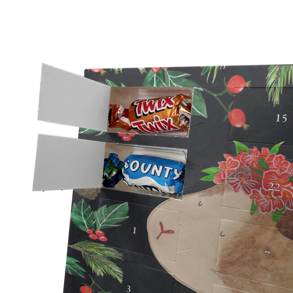 Chocolate advent calendar Guinea pig wisdom gift ideas, gifts, small animals, good mood, cute, funny sayings, cute animal motives, hand drawn, special gifts, card, animal lover, wonderland, flower child, reality, guinea pig, wonder, wisdom, saying