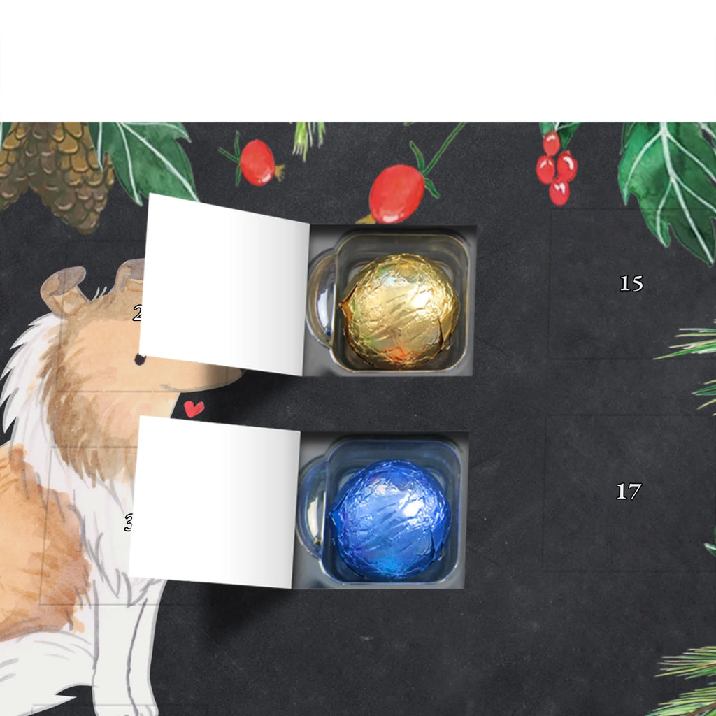 Adventskalender Langhaar Collie Moment duftkerzenkalender, raumduft adventskalender, adventskalender duftkerzen, Weihnachtskalender, adventskerzen kalender, duft kalender, Adventskalender, Kerzen Adventskalender, adventskalender kerzen, duft adventskalender, weihnachts adventskalender, advent kalender, adventskalender mit duftkerzen, Duftkerzen Adventskalender, aroma adventskalender, adventskalender mit kerzen, kerzenkalender, Hund, Welpe, Tierfreund, Hundebesitzer, Rassehund, Hunderasse, Schenken, Geschenk, Langhaar Collie, Britischer Hütehund