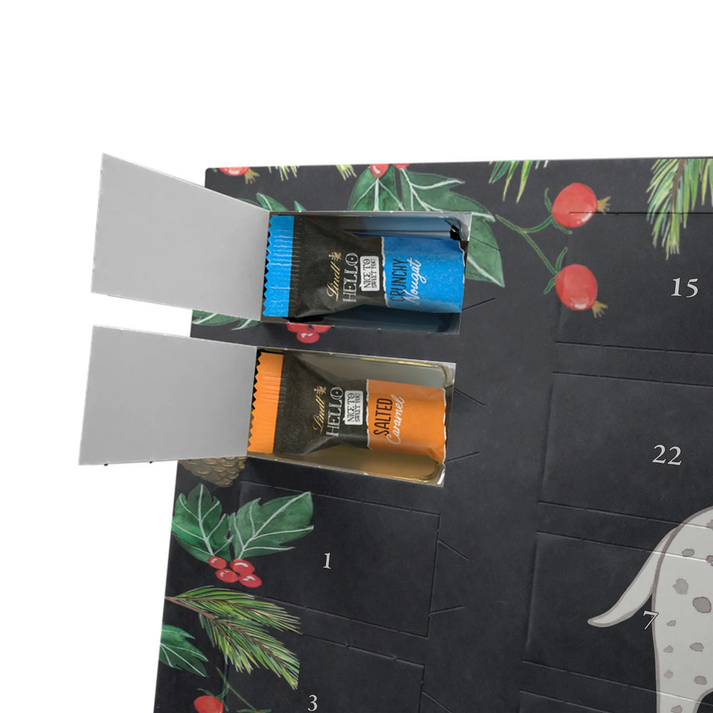 Chocolate advent calendar Dalmatian moment puppy, dog owner, purebred dog, dog breed, giving, animal lover, gift