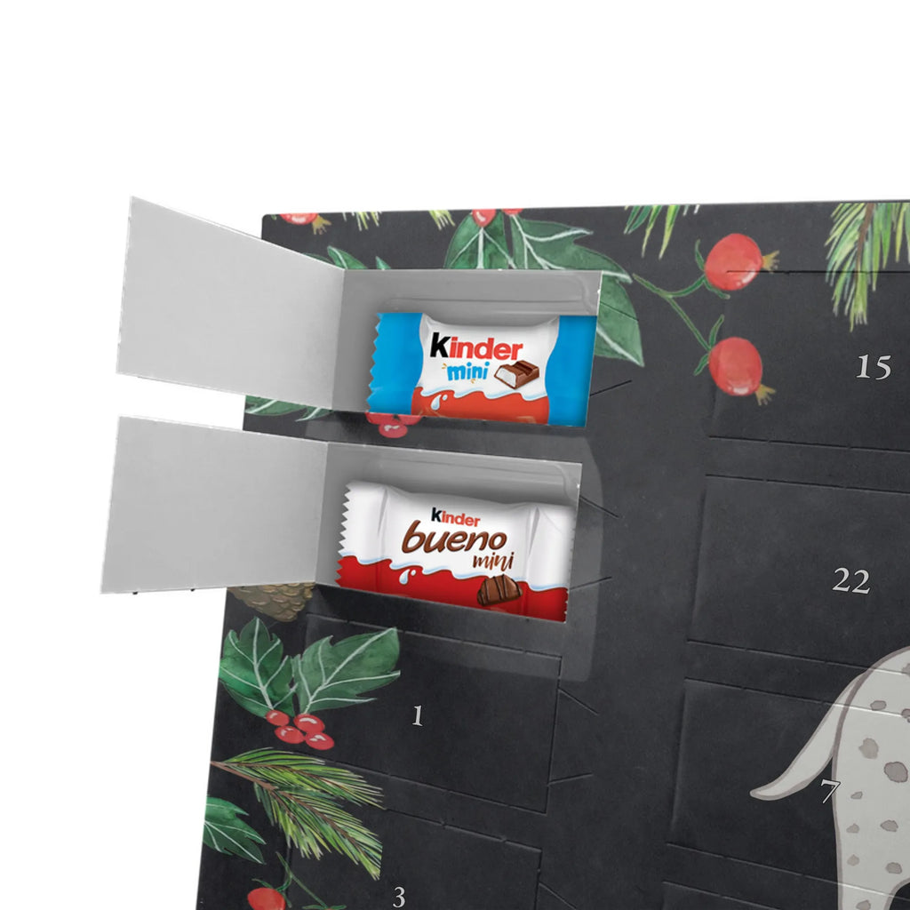 Chocolate advent calendar Dalmatian moment puppy, dog owner, purebred dog, dog breed, giving, animal lover, gift