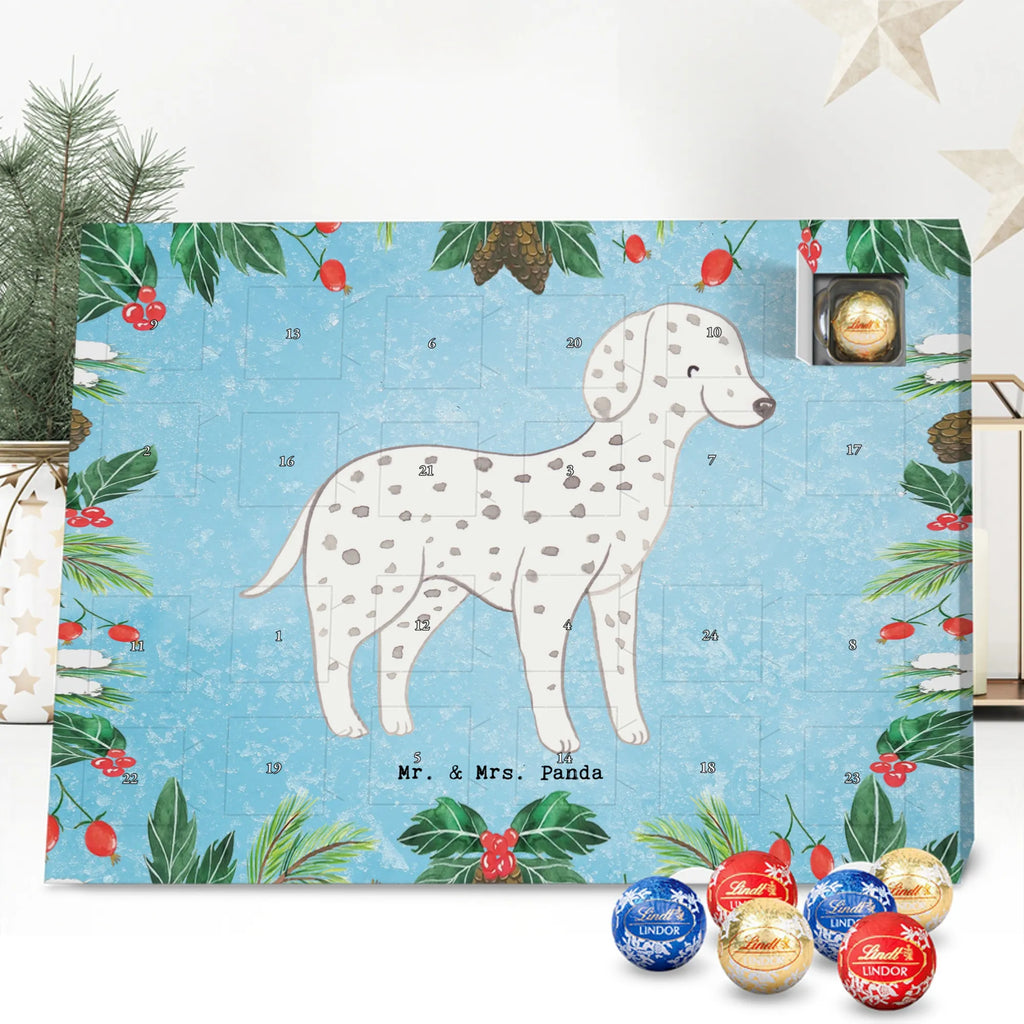 Chocolate advent calendar Dalmatian moment puppy, dog owner, purebred dog, dog breed, giving, animal lover, gift