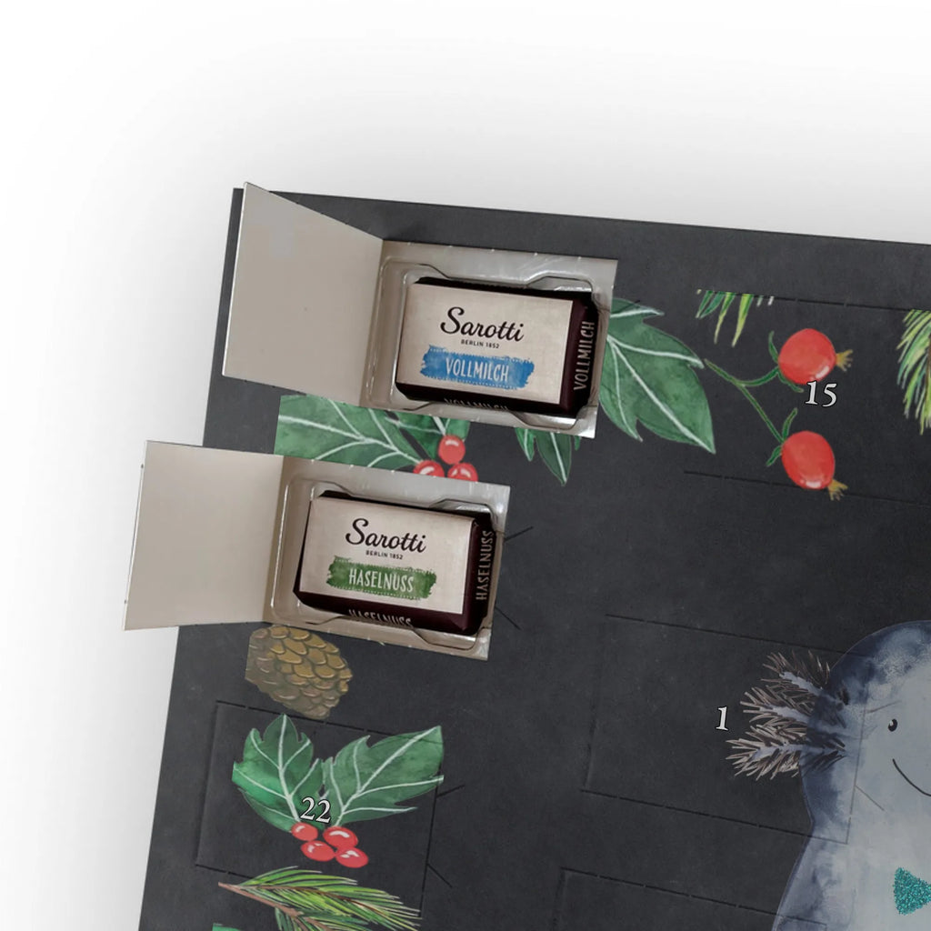 Chocolate advent calendar axolotl Girlfriend Mexican walking fish, Axelotl, marine animals, salamander, amphibian, husband, valentine's day, great love, friend, tail, fiancé, anniversary, proof of love