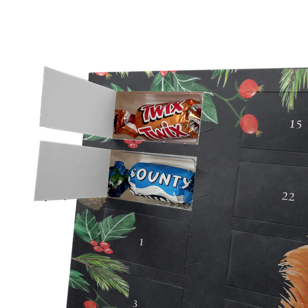  wiewiórka kwiat zwierzęta, Motywy zwierzęce, dobra energia, zabawne powiedzonka