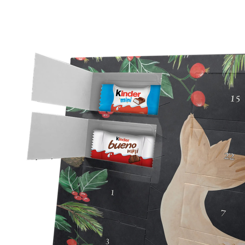 Schoko Adventskalender Robbe Liegen adventskalender pralinen, kalender schokolade, Schokoladen Adventskalender, schoko kalender, schokoladenkalender, Weihnachts Kalender, Schoko-Adventskalender, Weihnachten Adventskalender, weihnachtskalender schoko, schokolade adventskalender, pralinen adventskalender, Schoko Adventskalender, schokoladen kalender, adventskalender schoko, süßigkeiten kalender, süßigkeiten adventskalender, Schokoladen-Weihnachtskalender, schoko weihnachtskalender, Weihnachtskalender Schokolade, Adventskalender Schokolade, kalender weihnachten, Schokoladen-Adventskalender, Weihnachtskalender, schokokalender, Adventskalender, adventskalender süßigkeiten, Lustige Sprüche, Gute Laune, Tiermotive, Tiere, Nordsee, Meerestier, Ostsee, Robben, Robbe, Freude, Seehund, Lachen, Strand