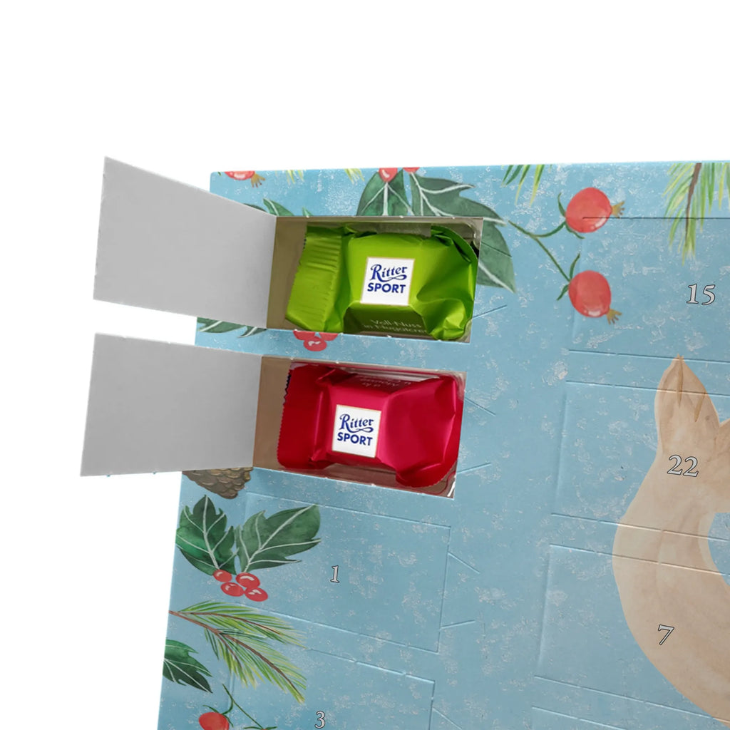 Schoko Adventskalender Robbe Liegen adventskalender pralinen, kalender schokolade, Schokoladen Adventskalender, schoko kalender, schokoladenkalender, Weihnachts Kalender, Schoko-Adventskalender, Weihnachten Adventskalender, weihnachtskalender schoko, schokolade adventskalender, pralinen adventskalender, Schoko Adventskalender, schokoladen kalender, adventskalender schoko, süßigkeiten kalender, süßigkeiten adventskalender, Schokoladen-Weihnachtskalender, schoko weihnachtskalender, Weihnachtskalender Schokolade, Adventskalender Schokolade, kalender weihnachten, Schokoladen-Adventskalender, Weihnachtskalender, schokokalender, Adventskalender, adventskalender süßigkeiten, Lustige Sprüche, Gute Laune, Tiermotive, Tiere, Nordsee, Meerestier, Ostsee, Robben, Robbe, Freude, Seehund, Lachen, Strand