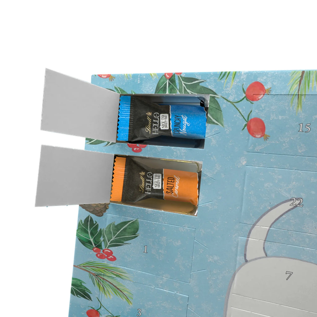 Chocolate advent calendar Bull Terrier Moment puppy, dog owner, purebred dog, dog breed, giving, animal lover, gift