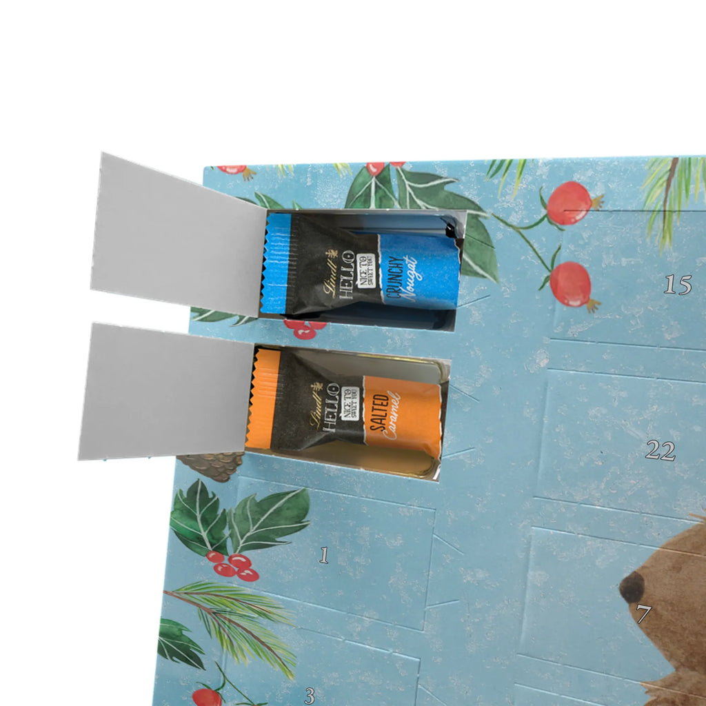 pralinen adventskalender Fledermaus Sitzen Adventskalender Schokolade, Weihnachtskalender Schokolade, Weihnachtskalender, Adventskalender, Schokoladen Adventskalender, kalender schokolade, Weihnachts Kalender, schokolade adventskalender, süßigkeiten kalender, Schoko-Adventskalender, Schoko Adventskalender, Schokoladen-Weihnachtskalender, schoko kalender, schokoladen kalender, adventskalender pralinen, adventskalender schoko, schokoladenkalender, kalender weihnachten, weihnachtskalender schoko, Weihnachten Adventskalender, schoko weihnachtskalender, süßigkeiten adventskalender, Schokoladen-Adventskalender, schokokalender, adventskalender süßigkeiten, pralinen adventskalender, Lustige Sprüche, Gute Laune, Tiermotive, Tiere, Motivation, Entspannen, Fledermaus, Fledermäuse