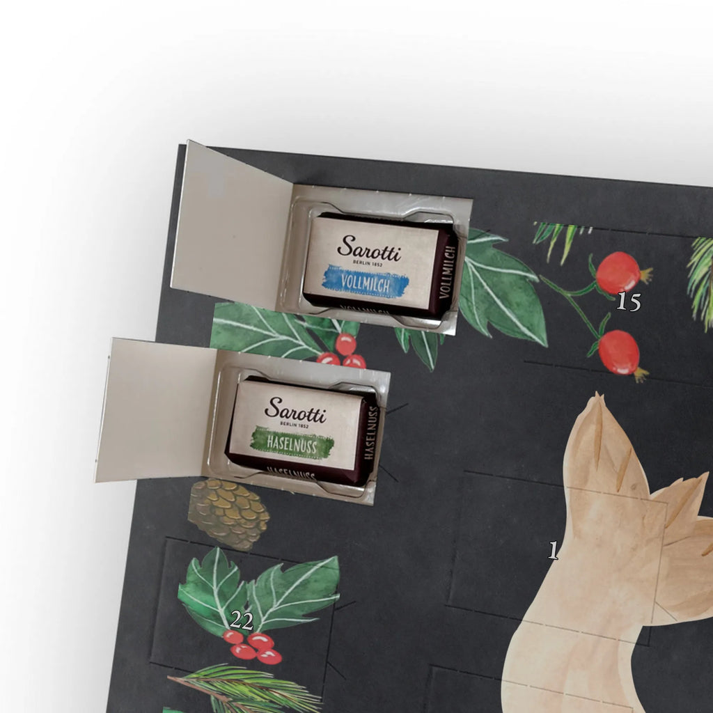 Schoko Adventskalender Robbe Liegen adventskalender pralinen, kalender schokolade, Schokoladen Adventskalender, schoko kalender, schokoladenkalender, Weihnachts Kalender, Schoko-Adventskalender, Weihnachten Adventskalender, weihnachtskalender schoko, schokolade adventskalender, pralinen adventskalender, Schoko Adventskalender, schokoladen kalender, adventskalender schoko, süßigkeiten kalender, süßigkeiten adventskalender, Schokoladen-Weihnachtskalender, schoko weihnachtskalender, Weihnachtskalender Schokolade, Adventskalender Schokolade, kalender weihnachten, Schokoladen-Adventskalender, Weihnachtskalender, schokokalender, Adventskalender, adventskalender süßigkeiten, Lustige Sprüche, Gute Laune, Tiermotive, Tiere, Nordsee, Meerestier, Ostsee, Robben, Robbe, Freude, Seehund, Lachen, Strand