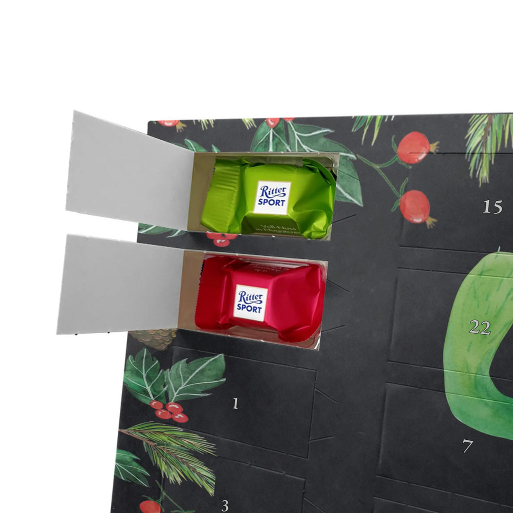 Chocolate advent calendar cactus happy cactus, cactuses, plants, small green cactus, cactus plant, cacti, child protection, colleague, friend, office life, new start, saying, education, mother