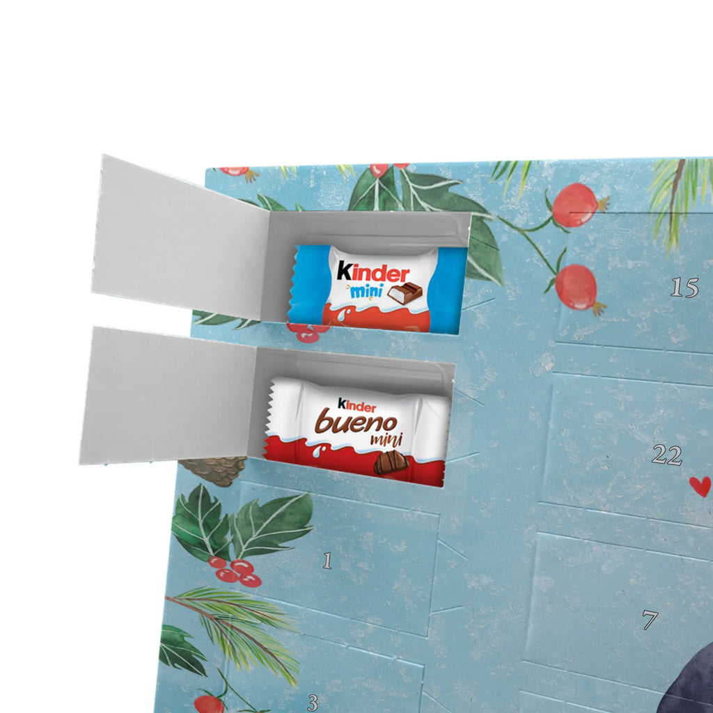 Schokoladen Adventskalender Pinguin Diät Adventskalender Schokolade, Weihnachts Kalender, schokoladen kalender, kalender schokolade, weihnachtskalender schoko, süßigkeiten kalender, adventskalender pralinen, schoko kalender, Schoko Adventskalender, schokoladenkalender, adventskalender süßigkeiten, kalender weihnachten, schokokalender, Weihnachten Adventskalender, Schokoladen Adventskalender, schoko weihnachtskalender, süßigkeiten adventskalender, Weihnachtskalender, schokolade adventskalender, Schokoladen-Adventskalender, Adventskalender, Weihnachtskalender Schokolade, Schokoladen-Weihnachtskalender, pralinen adventskalender, adventskalender schoko, Schoko-Adventskalender, Pinguin, Abspecken, Diät, Abnehmen, Selbstliebe, Motivation, Körperliebe, Selbstrespekt, Gewicht, Pinguine