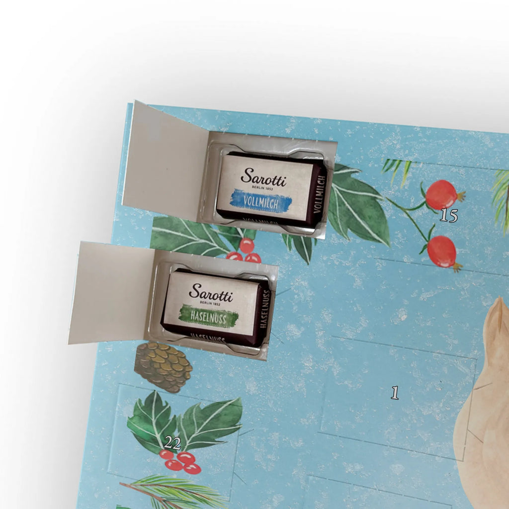 Schoko Adventskalender Robbe Liegen adventskalender pralinen, kalender schokolade, Schokoladen Adventskalender, schoko kalender, schokoladenkalender, Weihnachts Kalender, Schoko-Adventskalender, Weihnachten Adventskalender, weihnachtskalender schoko, schokolade adventskalender, pralinen adventskalender, Schoko Adventskalender, schokoladen kalender, adventskalender schoko, süßigkeiten kalender, süßigkeiten adventskalender, Schokoladen-Weihnachtskalender, schoko weihnachtskalender, Weihnachtskalender Schokolade, Adventskalender Schokolade, kalender weihnachten, Schokoladen-Adventskalender, Weihnachtskalender, schokokalender, Adventskalender, adventskalender süßigkeiten, Lustige Sprüche, Gute Laune, Tiermotive, Tiere, Nordsee, Meerestier, Ostsee, Robben, Robbe, Freude, Seehund, Lachen, Strand