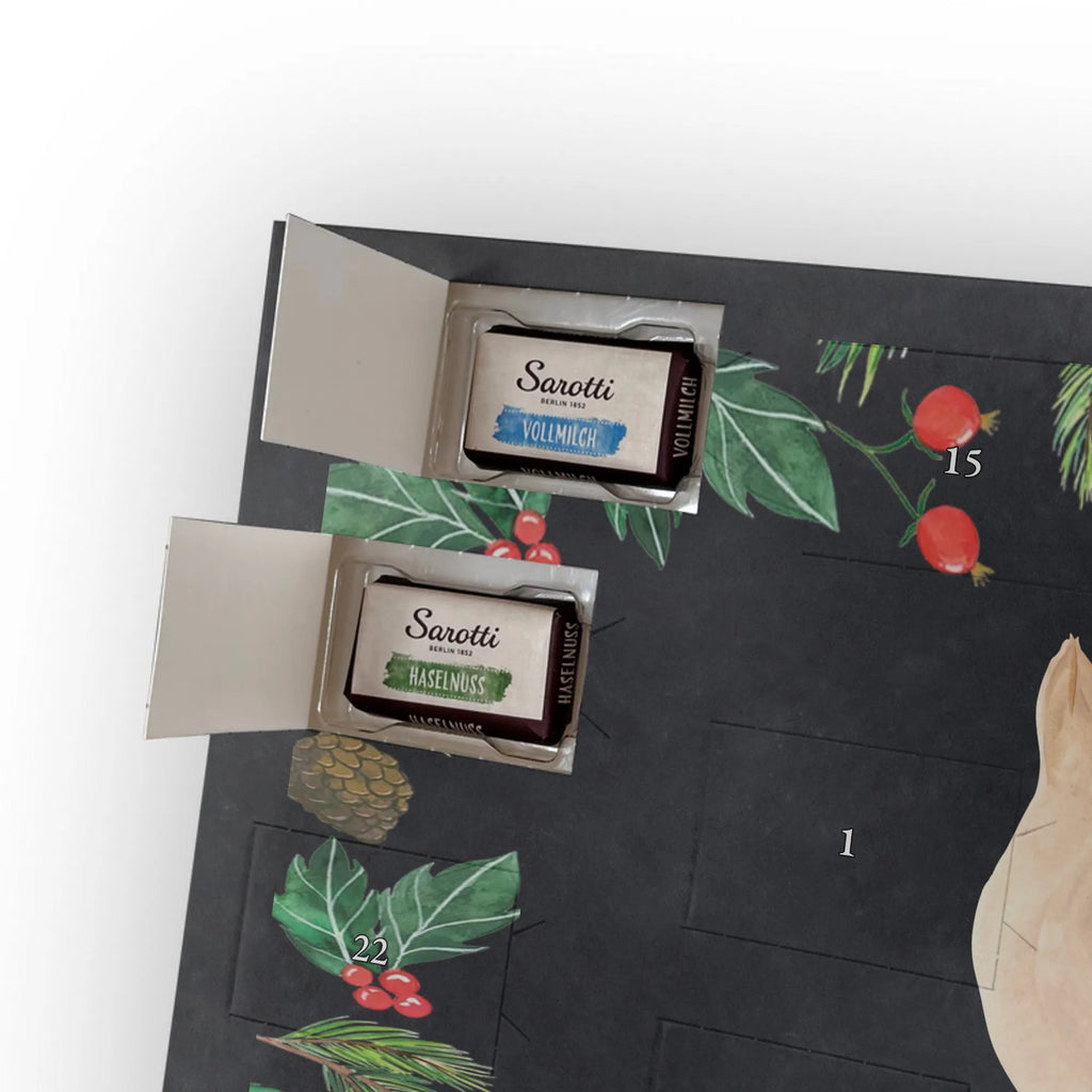 Schoko Adventskalender Robbe Liegen adventskalender pralinen, kalender schokolade, Schokoladen Adventskalender, schoko kalender, schokoladenkalender, Weihnachts Kalender, Schoko-Adventskalender, Weihnachten Adventskalender, weihnachtskalender schoko, schokolade adventskalender, pralinen adventskalender, Schoko Adventskalender, schokoladen kalender, adventskalender schoko, süßigkeiten kalender, süßigkeiten adventskalender, Schokoladen-Weihnachtskalender, schoko weihnachtskalender, Weihnachtskalender Schokolade, Adventskalender Schokolade, kalender weihnachten, Schokoladen-Adventskalender, Weihnachtskalender, schokokalender, Adventskalender, adventskalender süßigkeiten, Lustige Sprüche, Gute Laune, Tiermotive, Tiere, Nordsee, Meerestier, Ostsee, Robben, Robbe, Freude, Seehund, Lachen, Strand