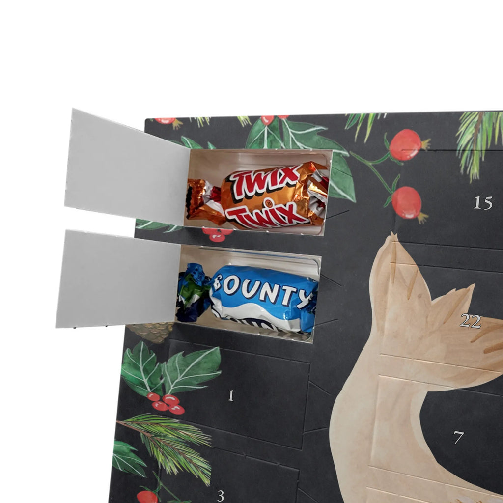 Schoko Adventskalender Robbe Liegen adventskalender pralinen, kalender schokolade, Schokoladen Adventskalender, schoko kalender, schokoladenkalender, Weihnachts Kalender, Schoko-Adventskalender, Weihnachten Adventskalender, weihnachtskalender schoko, schokolade adventskalender, pralinen adventskalender, Schoko Adventskalender, schokoladen kalender, adventskalender schoko, süßigkeiten kalender, süßigkeiten adventskalender, Schokoladen-Weihnachtskalender, schoko weihnachtskalender, Weihnachtskalender Schokolade, Adventskalender Schokolade, kalender weihnachten, Schokoladen-Adventskalender, Weihnachtskalender, schokokalender, Adventskalender, adventskalender süßigkeiten, Lustige Sprüche, Gute Laune, Tiermotive, Tiere, Nordsee, Meerestier, Ostsee, Robben, Robbe, Freude, Seehund, Lachen, Strand