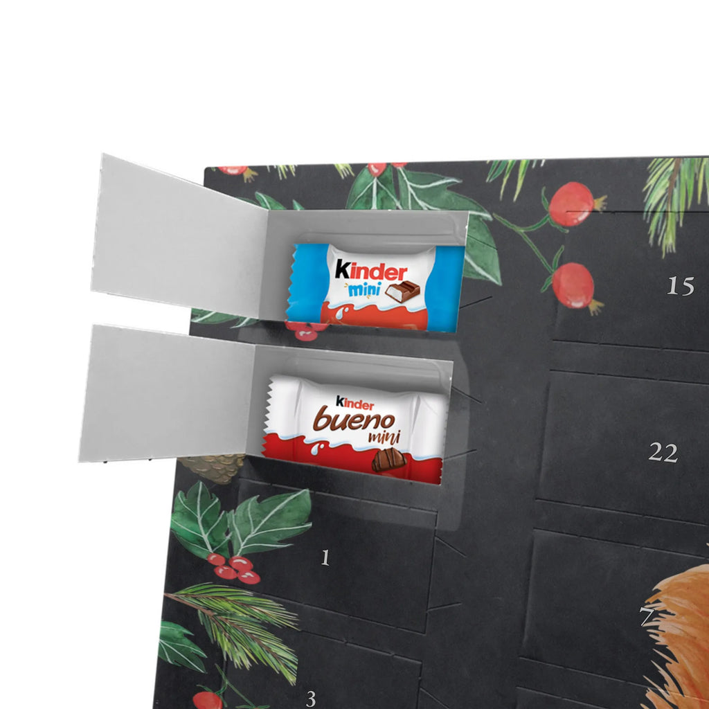  wiewiórka kwiat zwierzęta, Motywy zwierzęce, dobra energia, zabawne powiedzonka