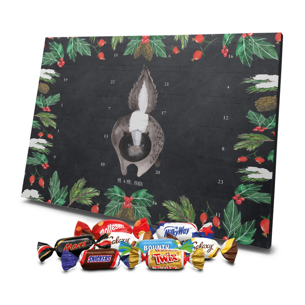 Chocolate advent calendar skunk attack angry, wild animal, predator, stinky, threatening