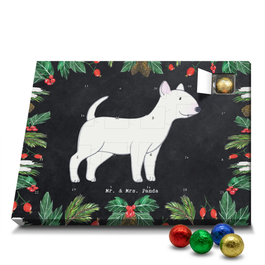 Chocolate advent calendar Bull Terrier Moment puppy, dog owner, purebred dog, dog breed, giving, animal lover, gift