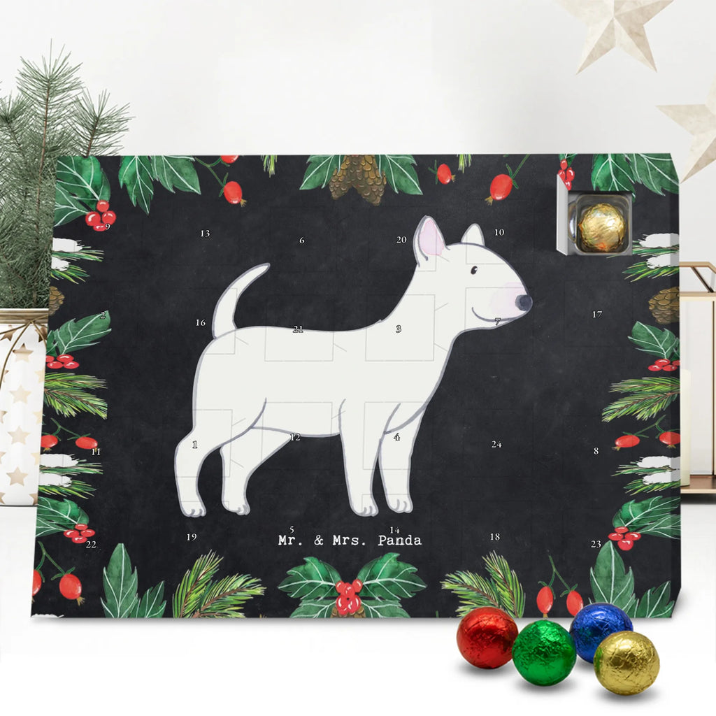 Chocolate advent calendar Bull Terrier Moment puppy, dog owner, purebred dog, dog breed, giving, animal lover, gift
